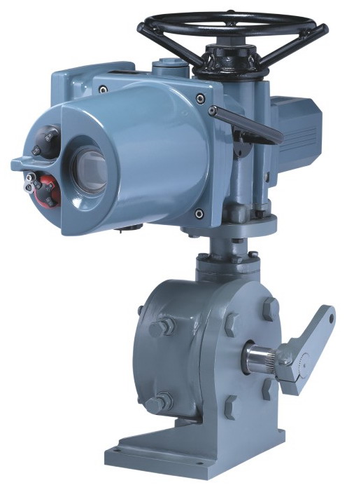 Multi turn actuator reducer